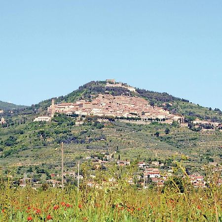 Il Marinocchio Di Malatesti Arezzo Exterior foto